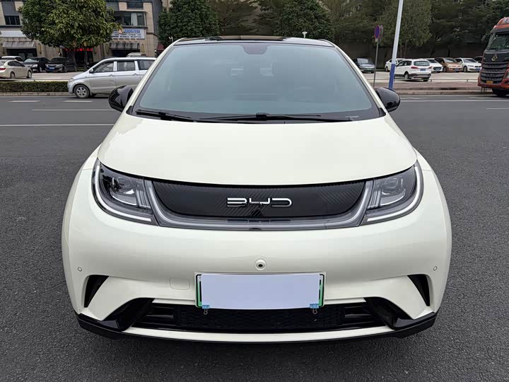 Фото 2 - BYD Dolphin