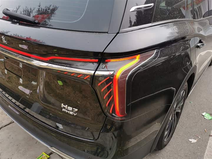 Фото 7 - Hongqi HS7 Hybrid