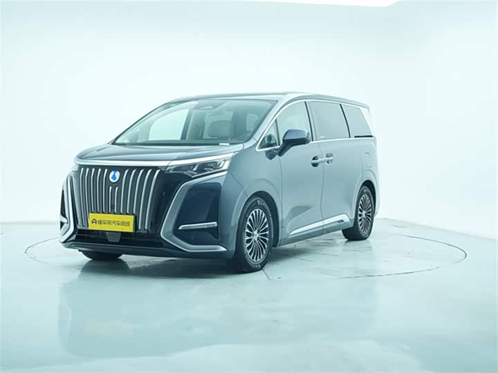 Фото 1 - Denza D9