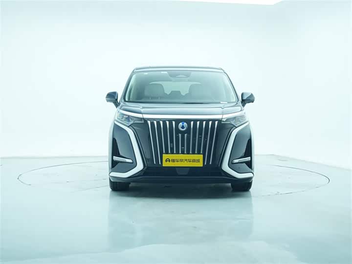 Фото 3 - Denza D9