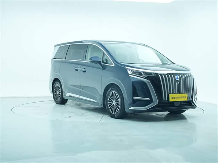 Фото 4 - Denza D9