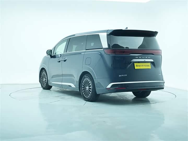 Фото 6 - Denza D9