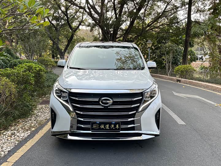 Фото 3 - GAC Trumpchi M8