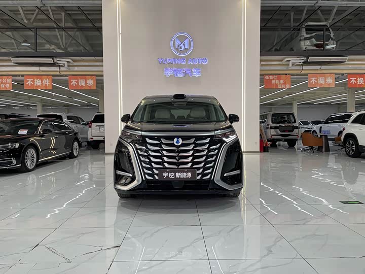 Фото 2 - Denza D9