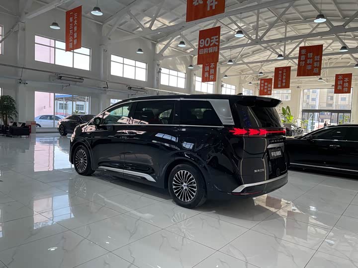 Фото 4 - Denza D9