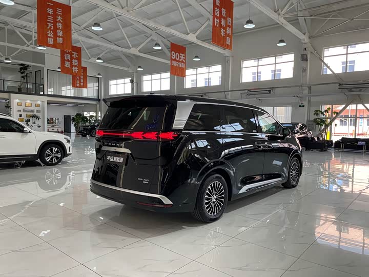 Фото 6 - Denza D9