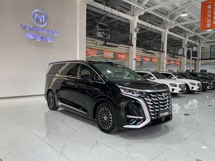 Фото 7 - Denza D9