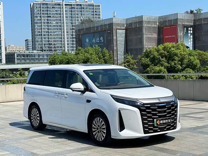 Фото 2 - BYD Xia