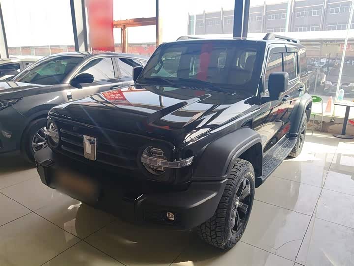 Фото 1 - Tank 300