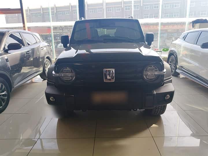 Фото 3 - Tank 300