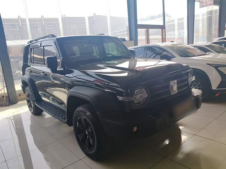 Фото 4 - Tank 300