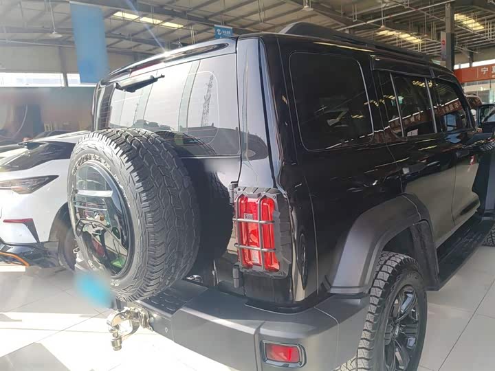 Фото 6 - Tank 300