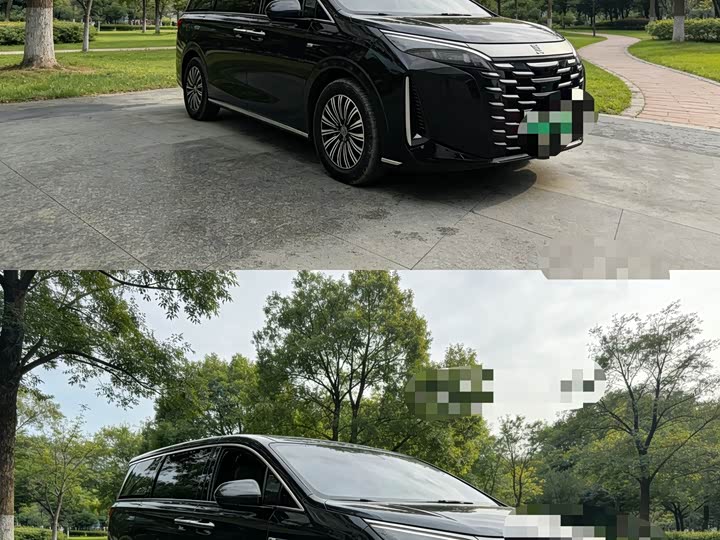 Фото 3 - BYD Xia