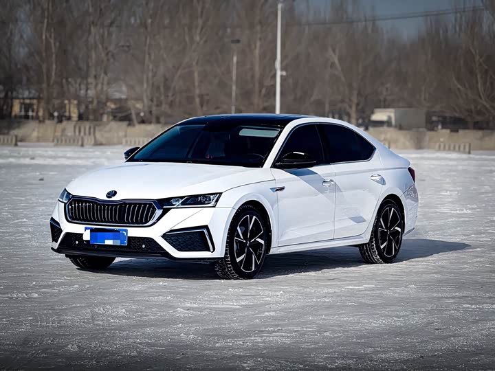 Фото 1 - Skoda Octavia Pro