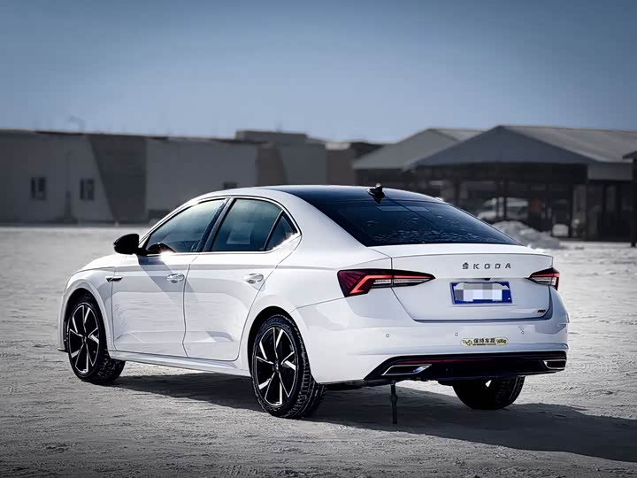 Фото 3 - Skoda Octavia Pro