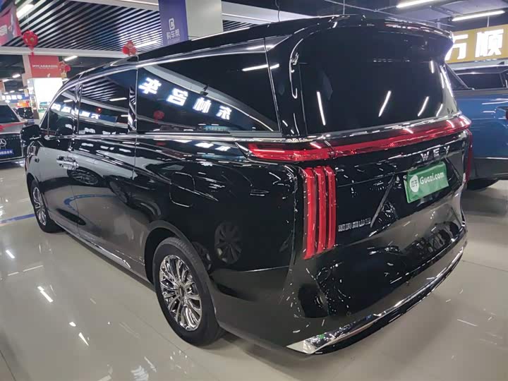 Фото 5 - Wey Gaoshan