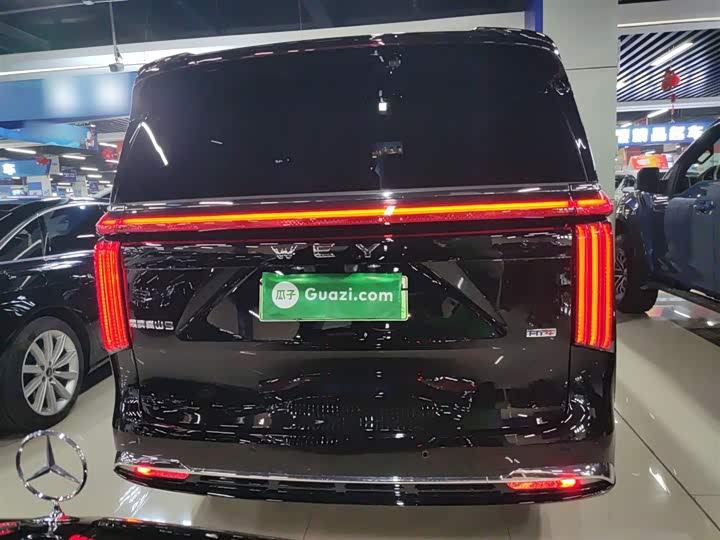 Фото 6 - Wey Gaoshan