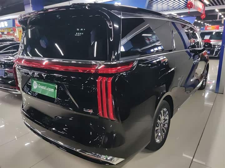 Фото 7 - Wey Gaoshan