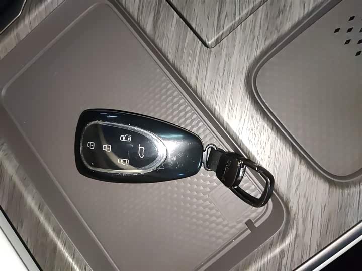 Фото 9 - Wey Gaoshan