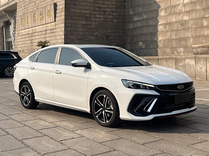 Фото 7 - Geely Binrui