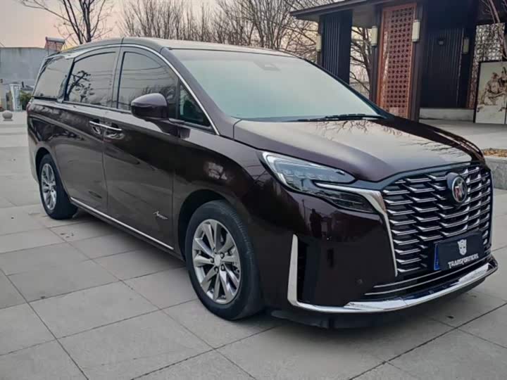 Фото 1 - Buick GL8 ES