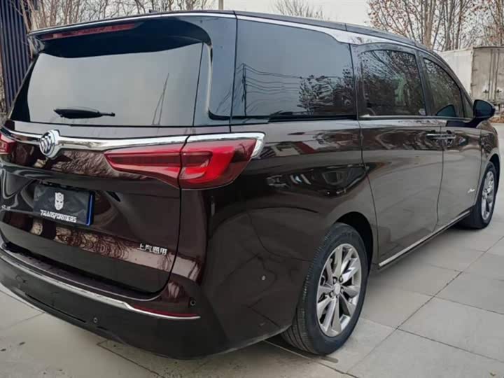 Фото 7 - Buick GL8 ES