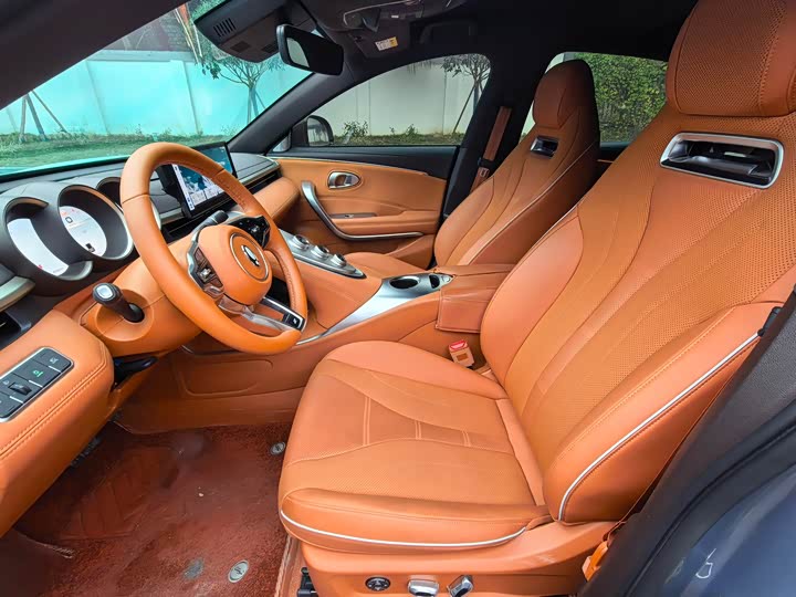 Фото 4 - Ora Lightning Cat (07)