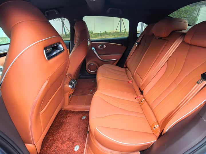 Фото 5 - Ora Lightning Cat (07)