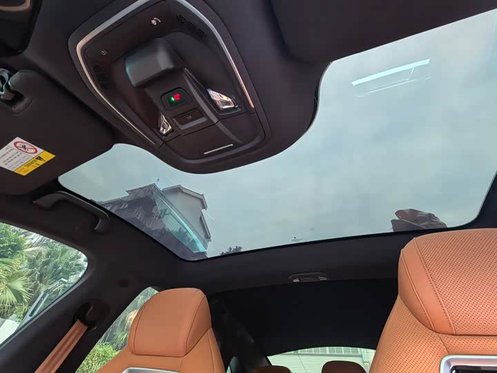 Фото 6 - Ora Lightning Cat (07)