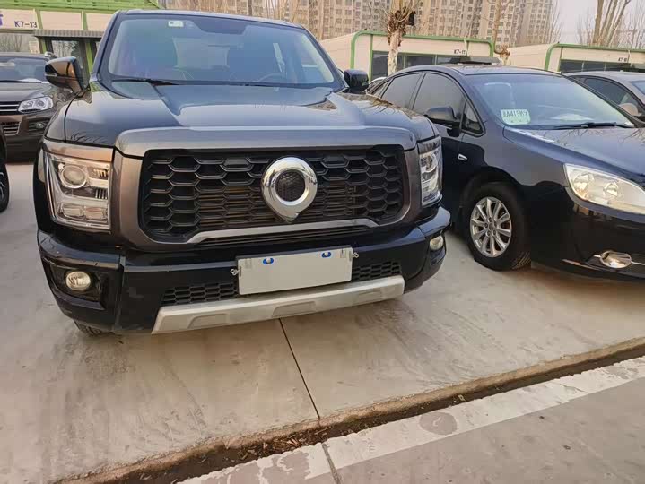 Фото 3 - Great Wall King Kong Poer