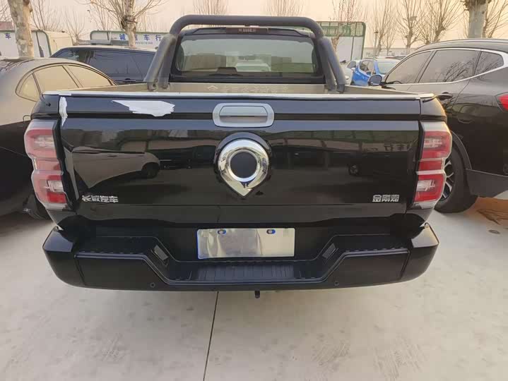 Фото 8 - Great Wall King Kong Poer