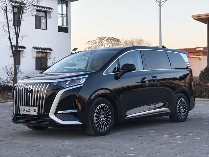 Фото 1 - Denza D9