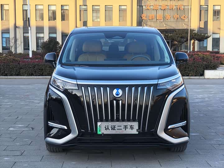 Фото 2 - Denza D9