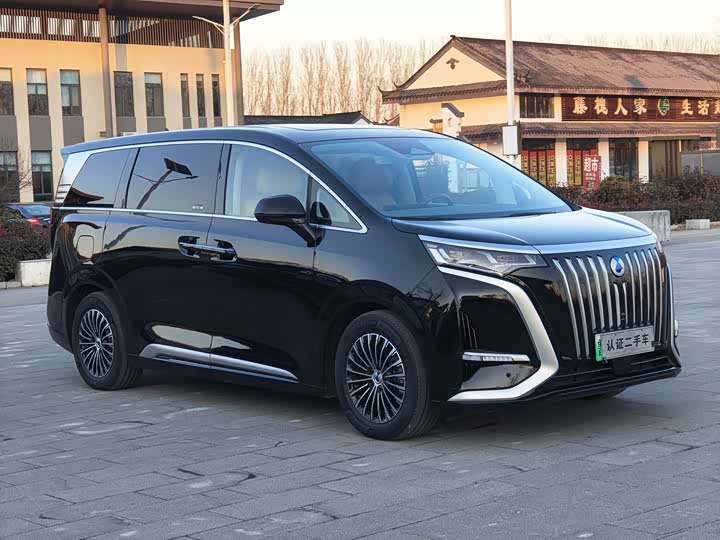 Фото 3 - Denza D9