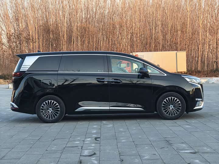 Фото 4 - Denza D9