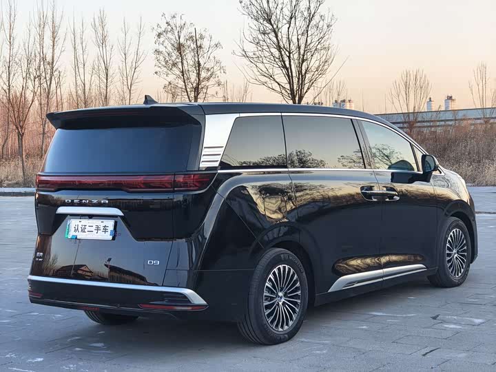 Фото 5 - Denza D9