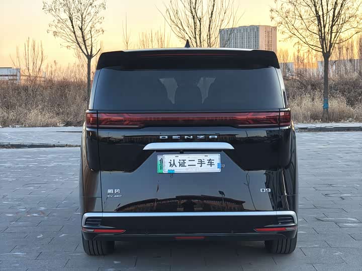 Фото 6 - Denza D9