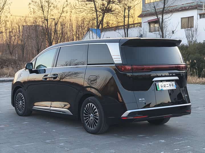 Фото 7 - Denza D9