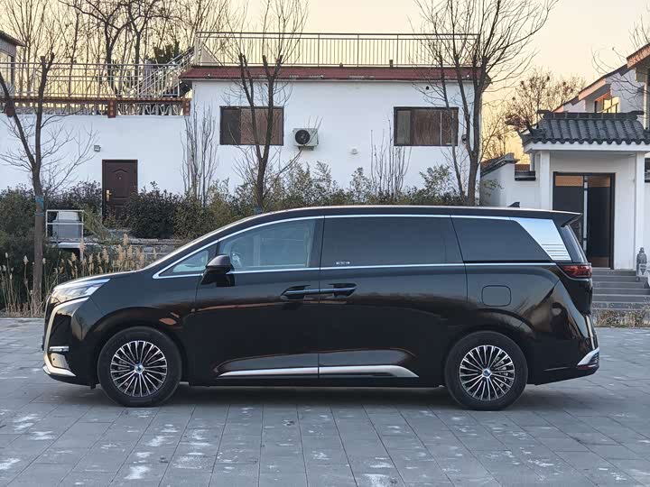 Фото 8 - Denza D9