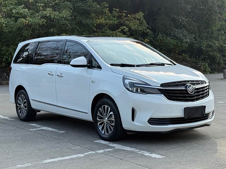 Фото 2 - Buick GL8 ES