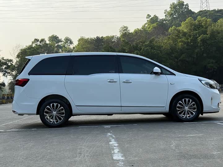 Фото 3 - Buick GL8 ES