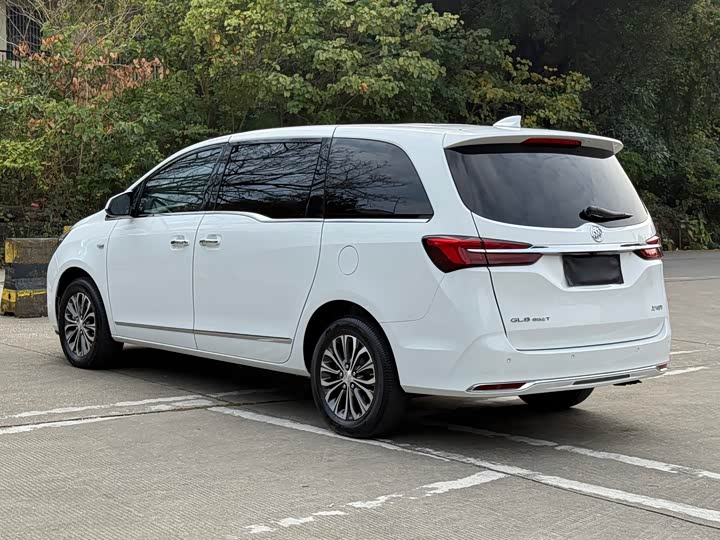 Фото 5 - Buick GL8 ES