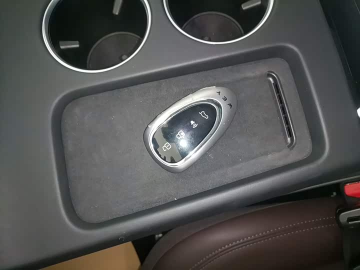 Фото 9 - Wey Mocca Hybrid