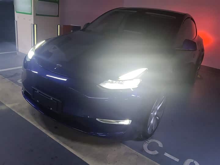 Фото 1 - Tesla Model Y