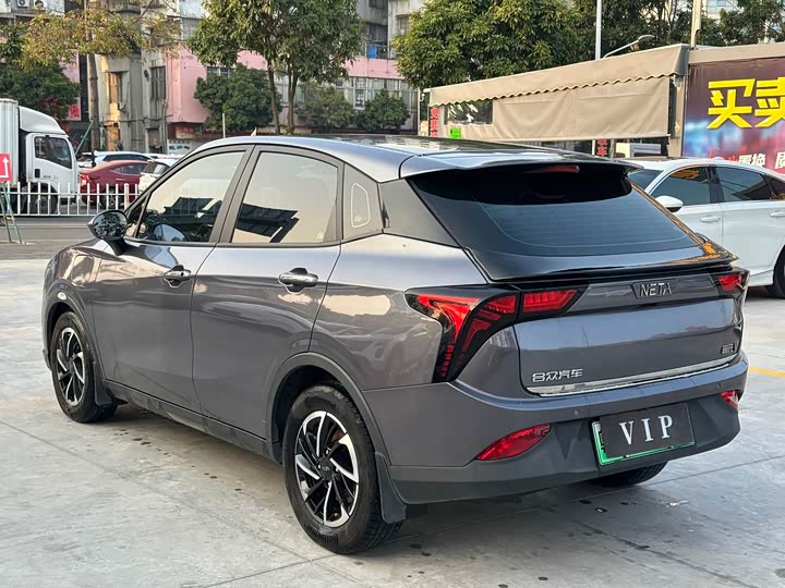 Фото 4 - Hozon V