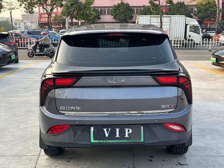 Фото 5 - Hozon V