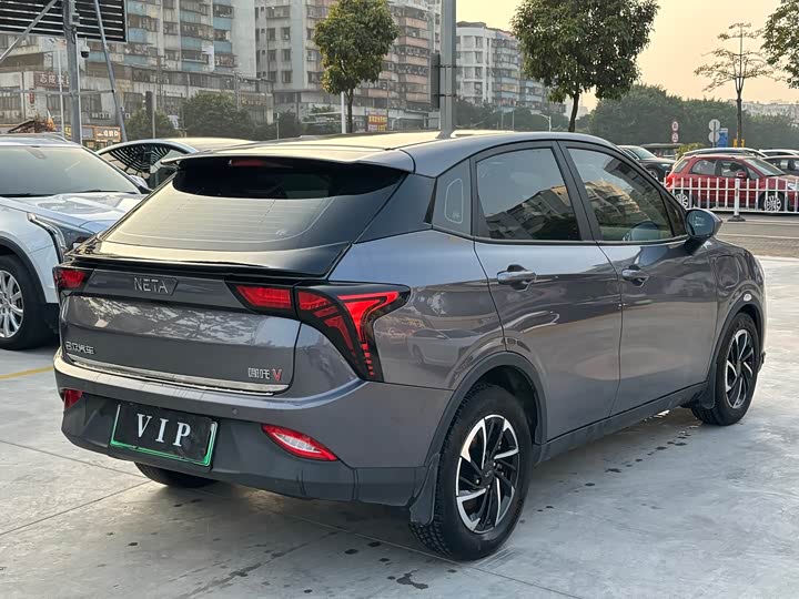 Фото 6 - Hozon V