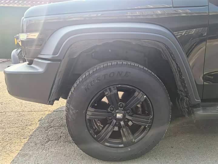 Фото 7 - Tank 300