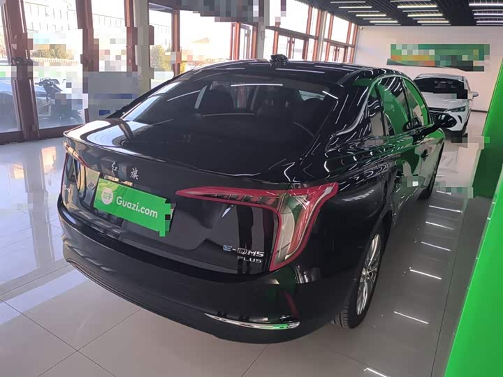 Фото 7 - Hongqi E-QM5