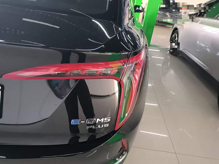 Фото 8 - Hongqi E-QM5